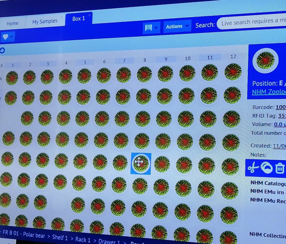 Read more about the article Why does data management have a crucial role in a biodiversity collection?