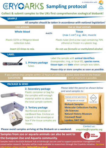 Sample protocols